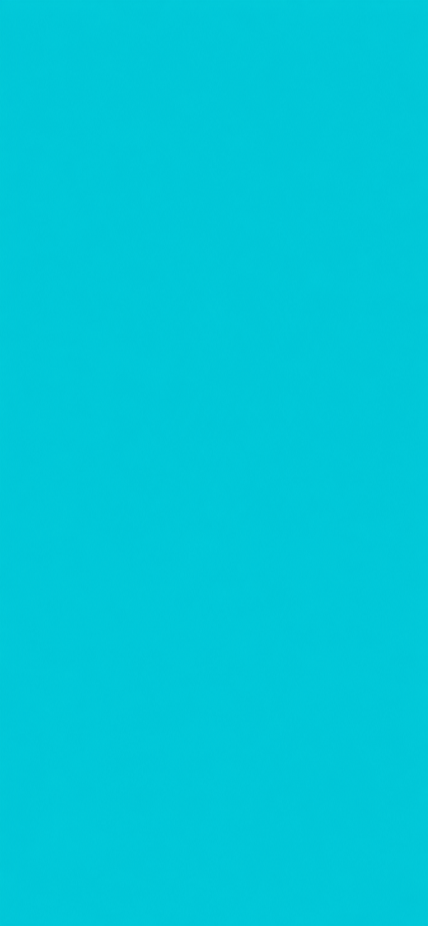Turquoise Pop Solid Color Door Wrap