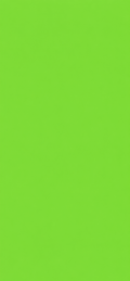 Lime Green Solid Color Door Wrap