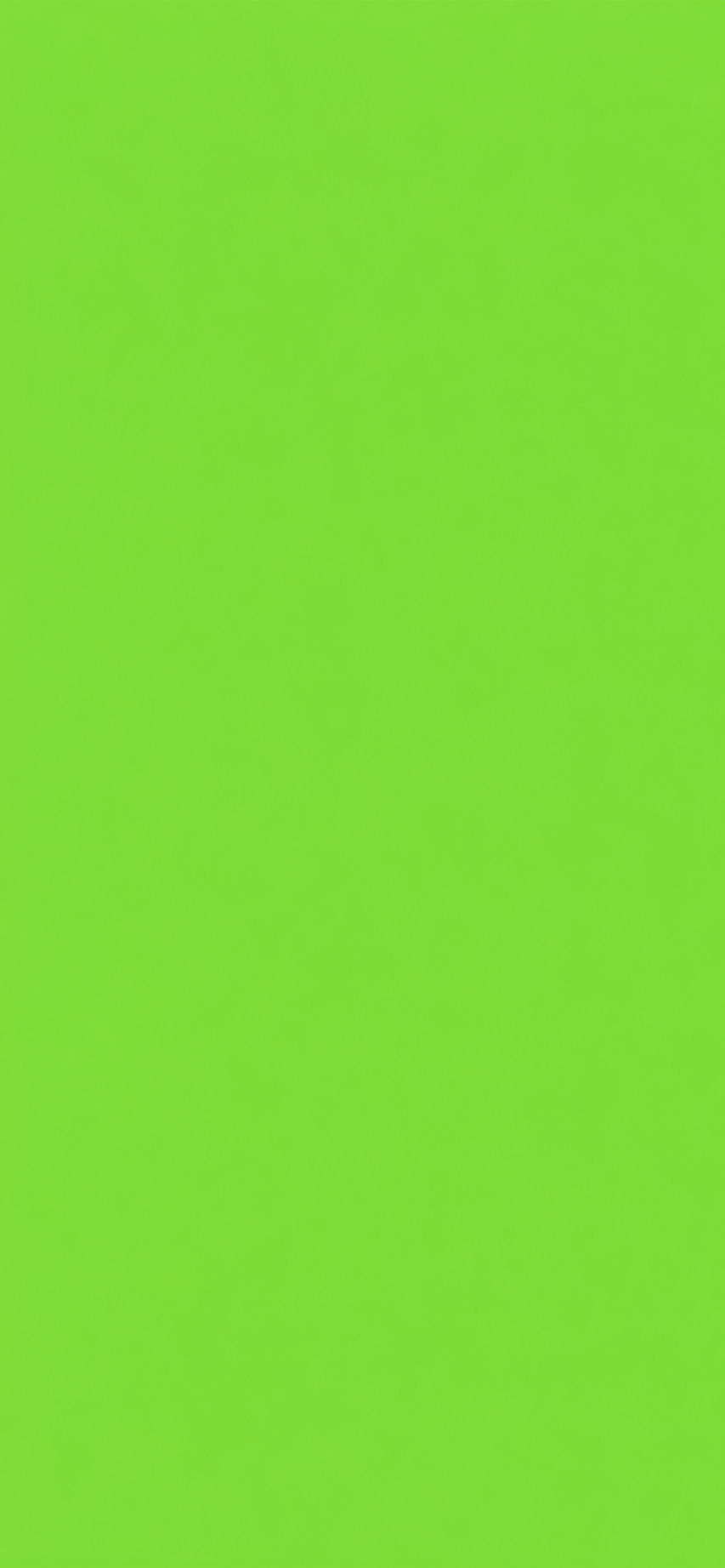 Lime Green Solid Color Door Wrap